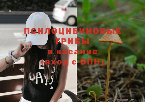 метадон Алексеевка