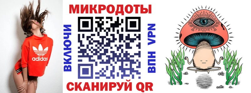 Псилоцибиновые грибы Psilocybine cubensis  площадка состав  Малаховка 